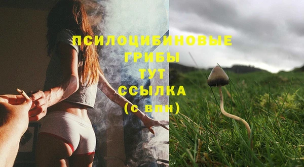 тгк Арсеньев